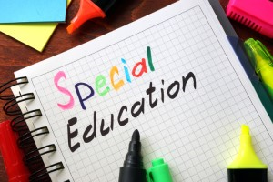 Special Education Internship 2023-24